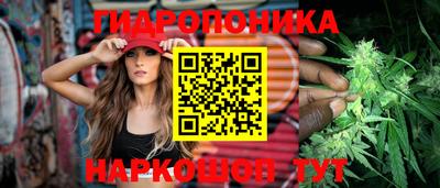 спиды Кинель