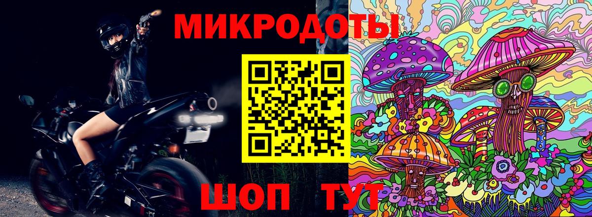 Псилоцибиновые грибы Psilocybe Кунгур