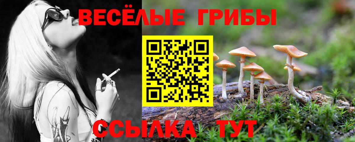 Псилоцибиновые грибы Magic Shrooms  Галлюциногенные грибы мицелий  Вход с VPN  Кунгур 
